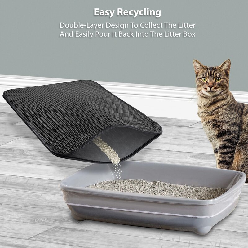 PAWBEE Cat Mat Reviews Wayfair